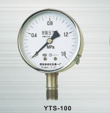  YTS-100耐酸压力表