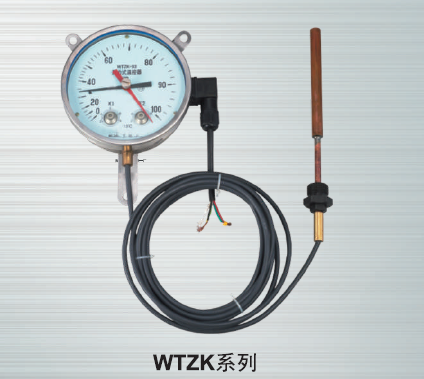 WTZK系列温度控制器